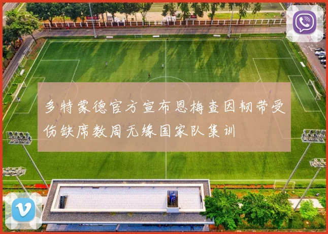 多特蒙德官方宣布恩梅查因韧带受伤缺席数周无缘国家队集训
