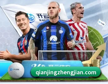 爱游戏体育官网 APP 深度功能